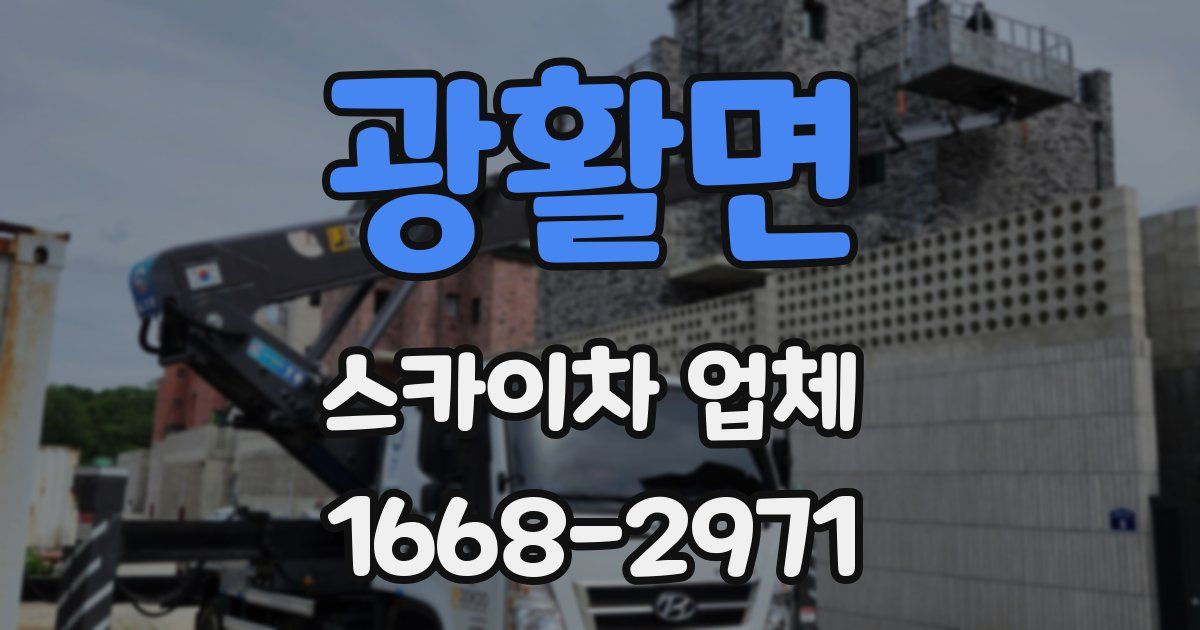 광활면 스카이차 업체