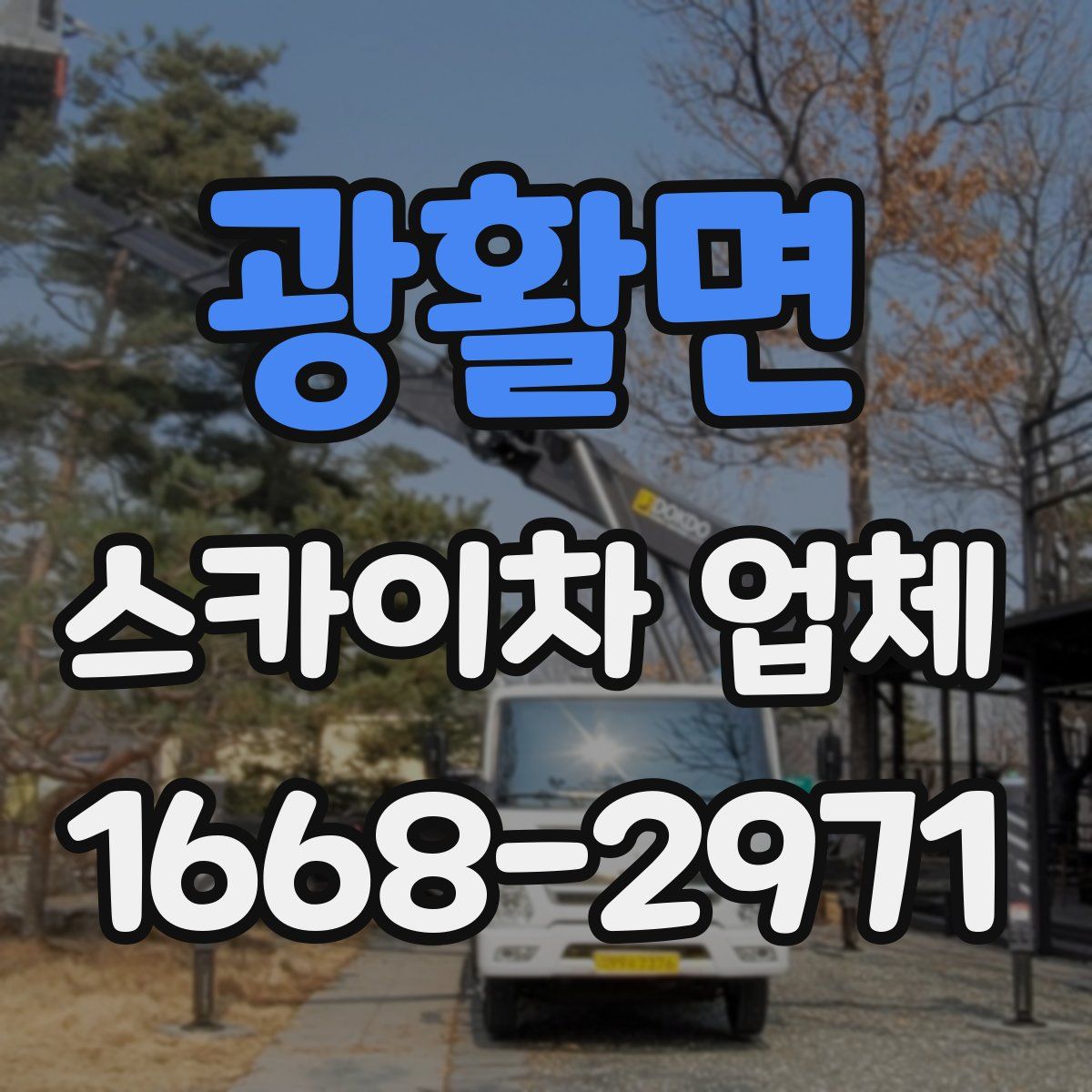 광활면 스카이차 업체