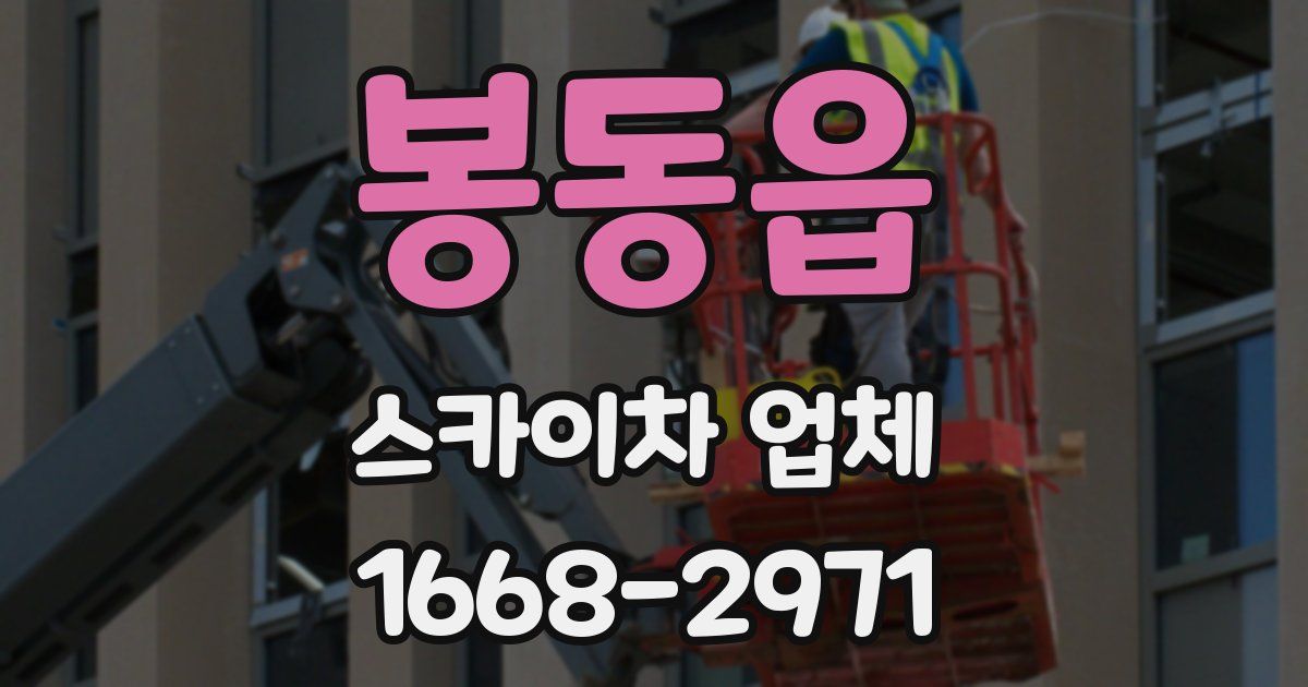 봉동읍 스카이차 업체