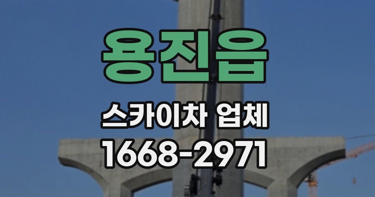 용진읍 스카이차 업체