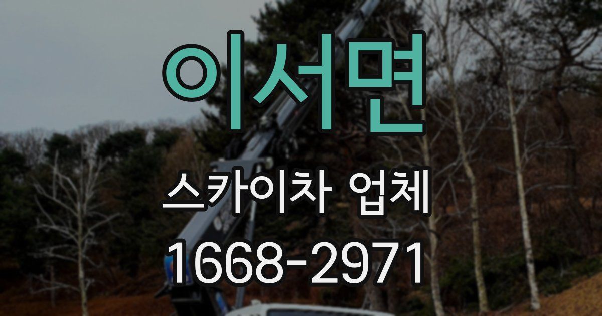 이서면 스카이차 업체