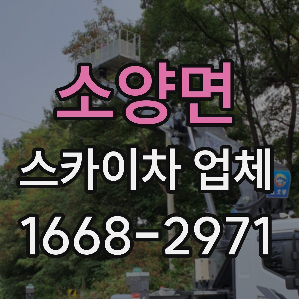 소양면 스카이차 업체 선택과 관련해 자주 묻는 질문 정리