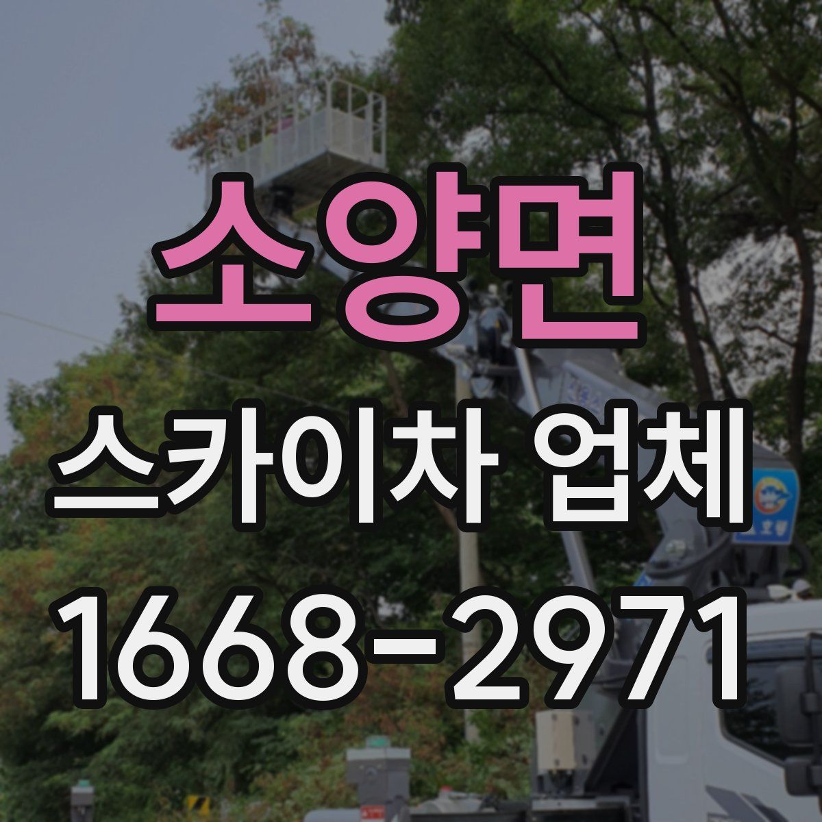 소양면 스카이차 업체
