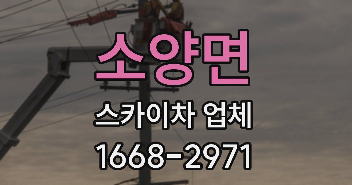 소양면 스카이차 업체