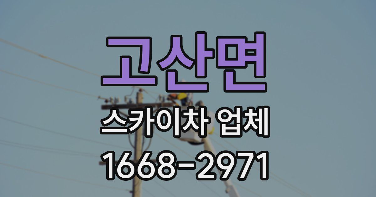 고산면 스카이차 업체
