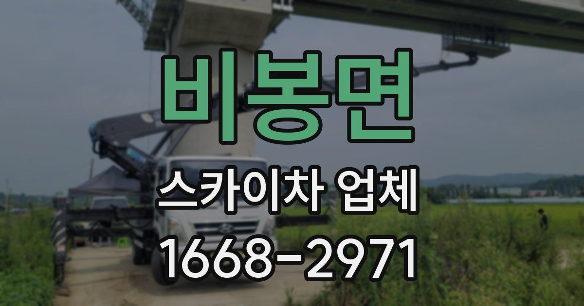 비봉면 스카이차 업체