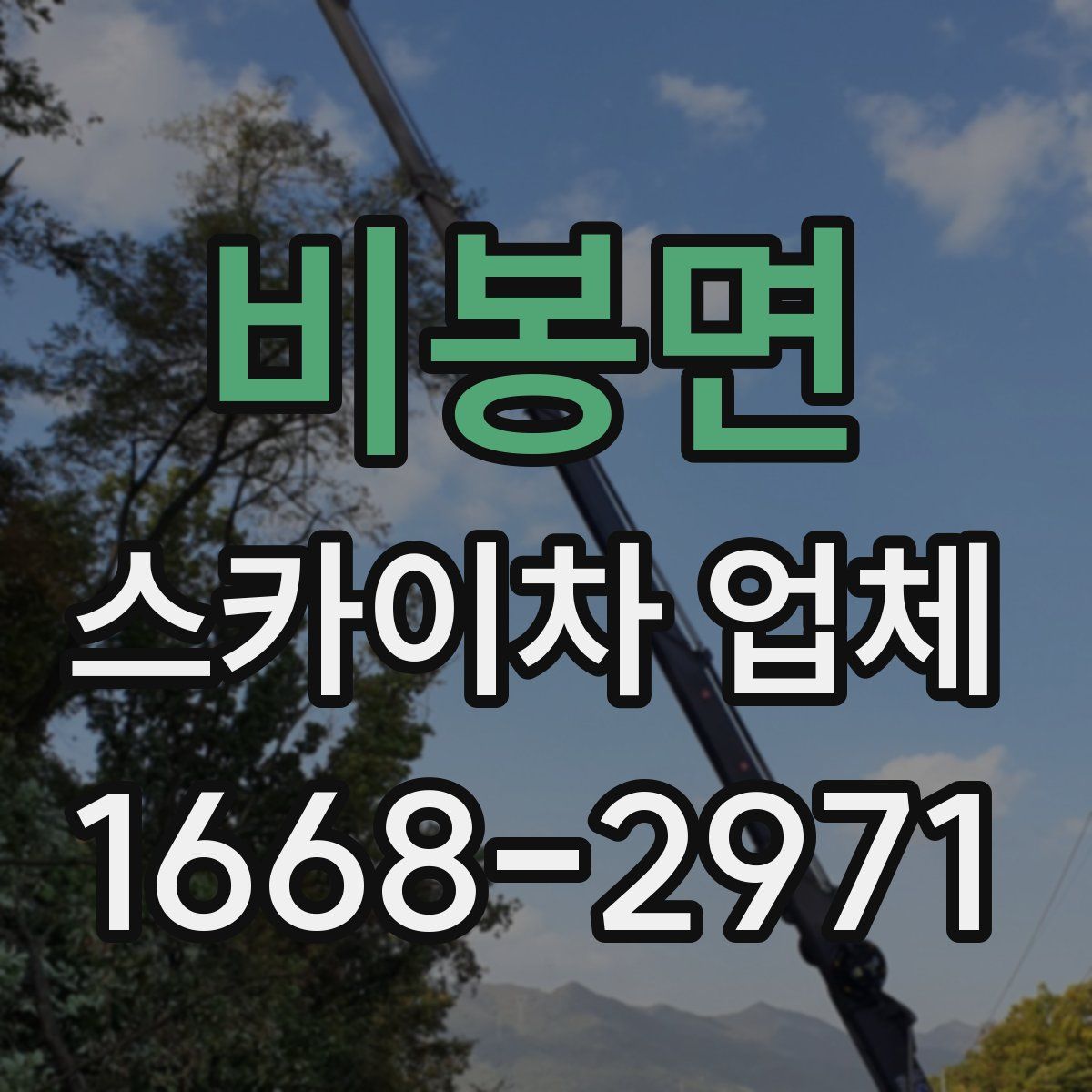 비봉면 스카이차 업체