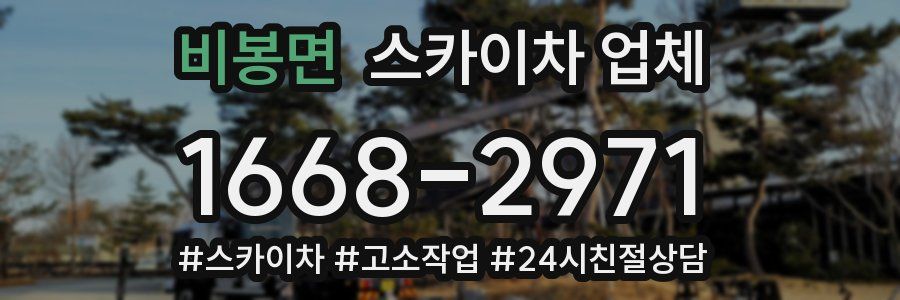 비봉면 스카이차 업체