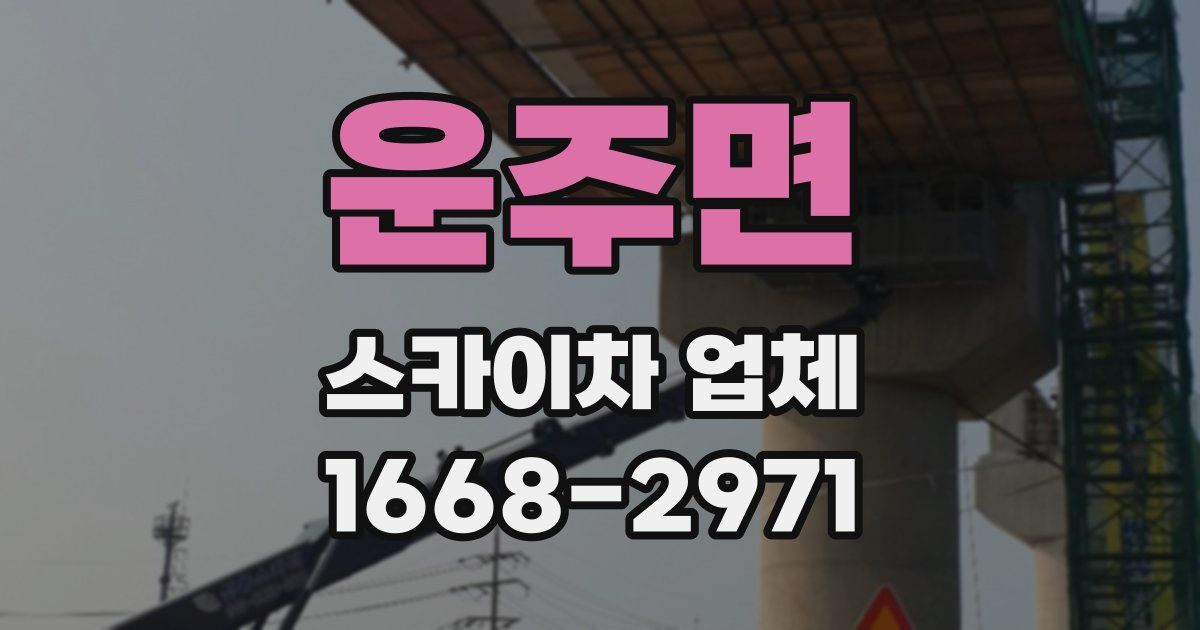 운주면 스카이차 업체