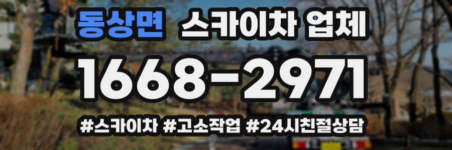 동상면 스카이차 업체