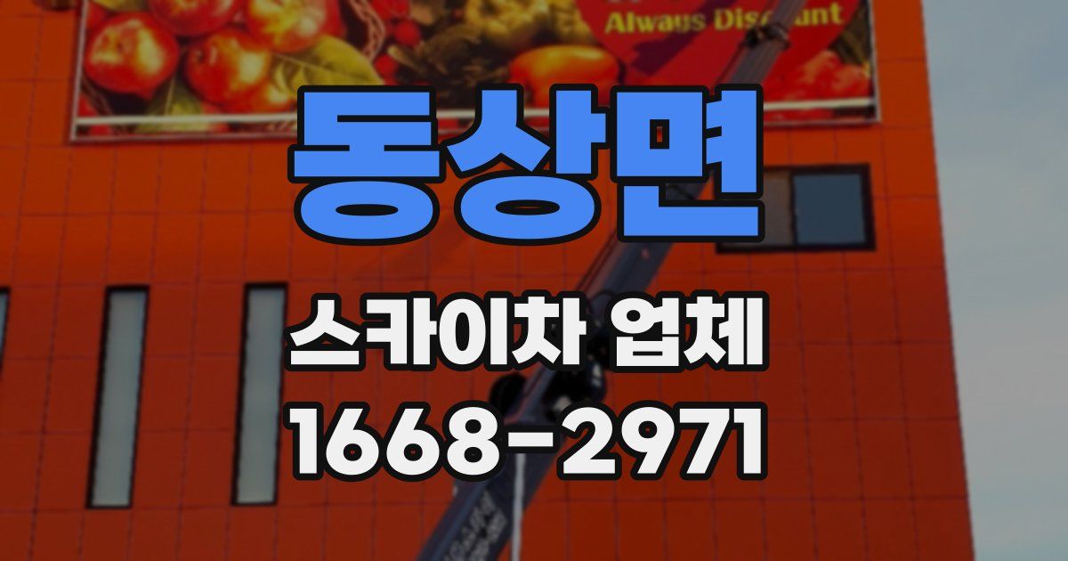 동상면 스카이차 업체