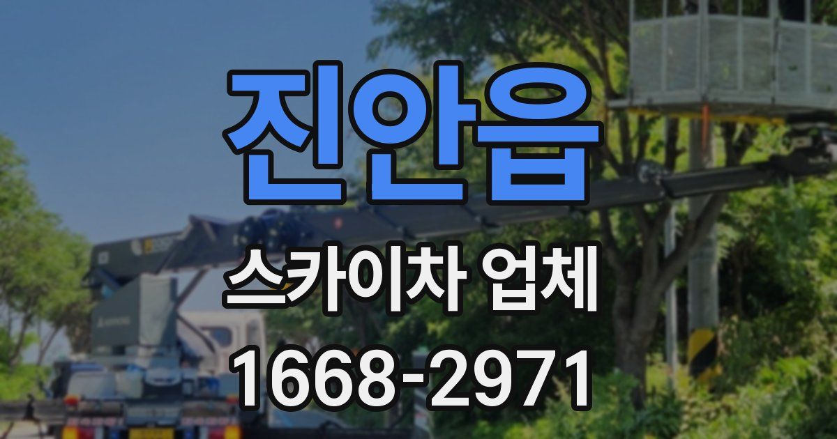 진안읍 스카이차 업체