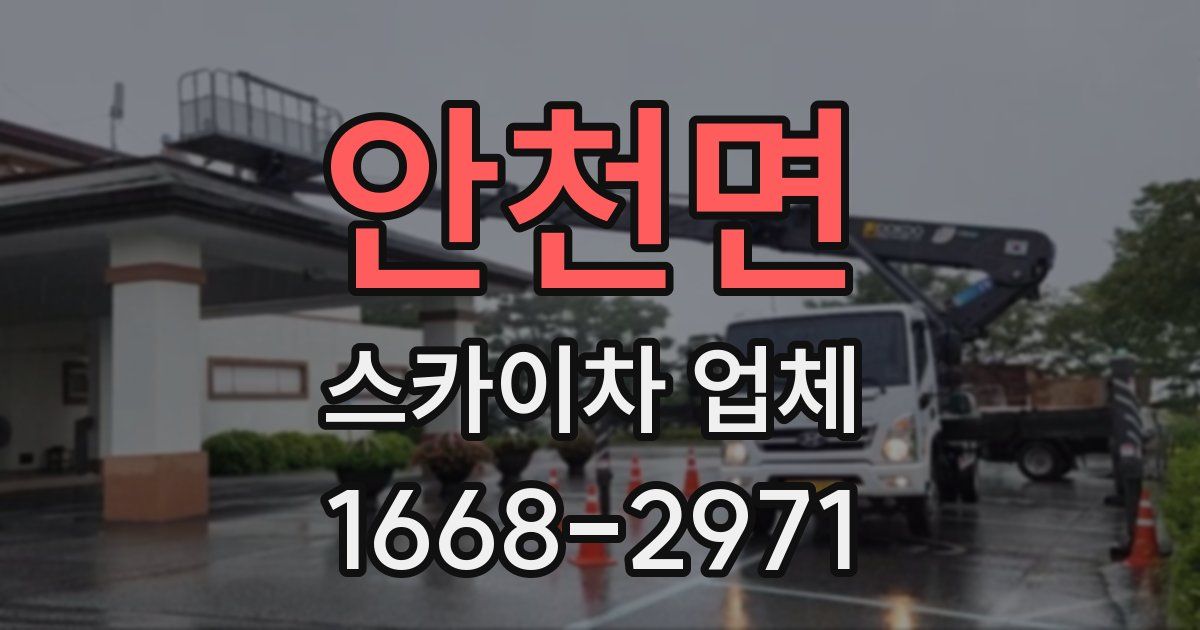 안천면 스카이차 업체