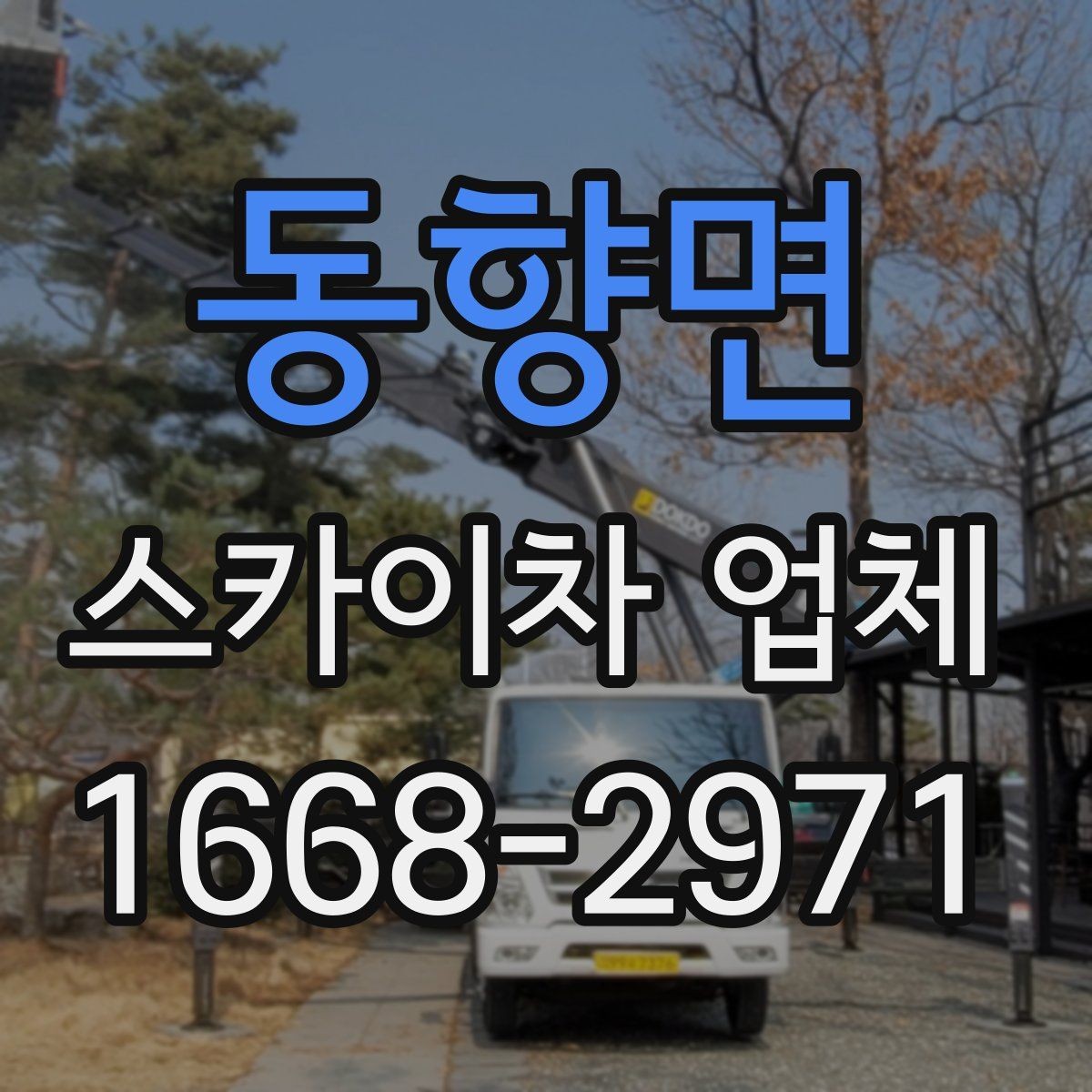 동향면 스카이차 업체 예약 전에 체크할 사항