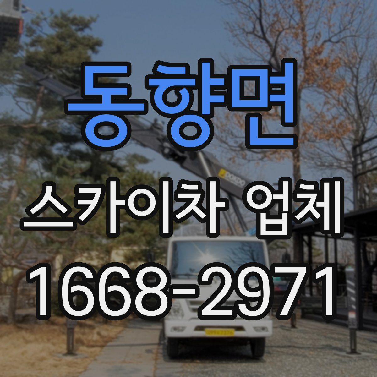 동향면 스카이차 업체