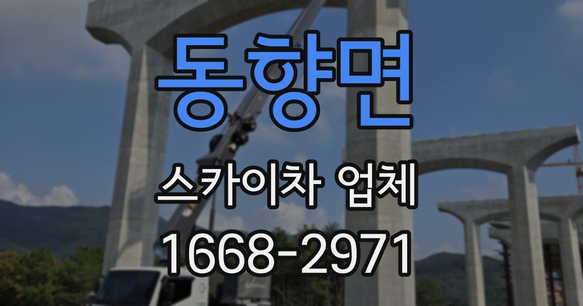 동향면 스카이차 업체