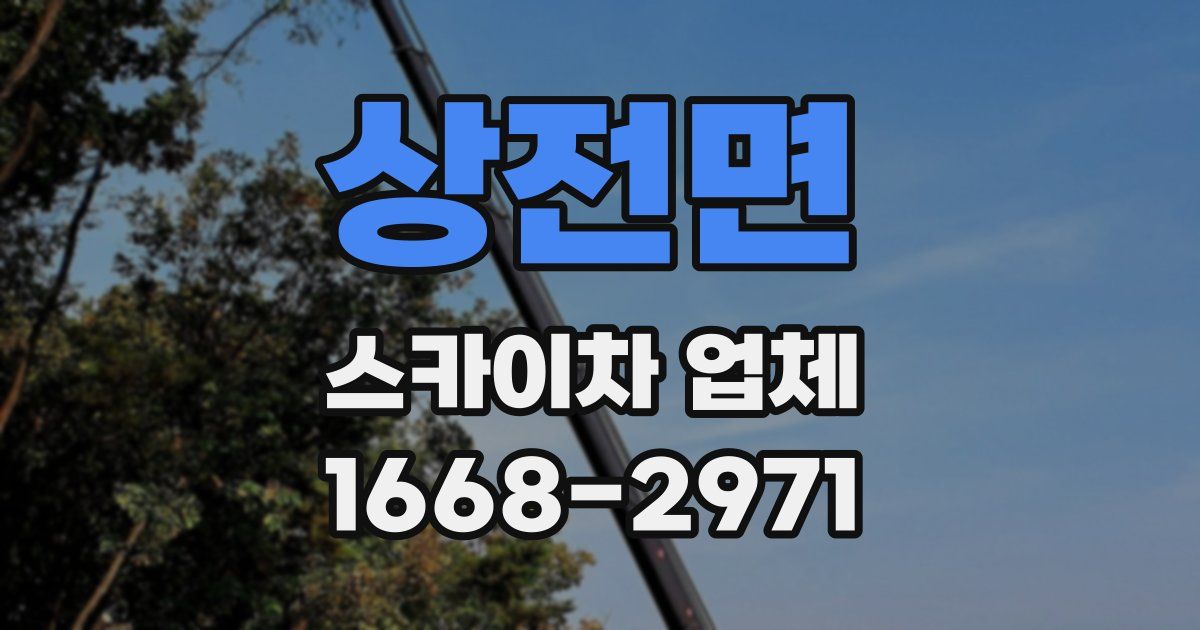 상전면 스카이차 업체