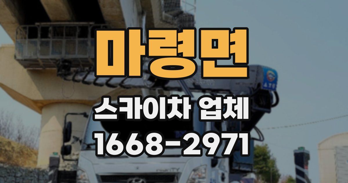 마령면 스카이차 업체