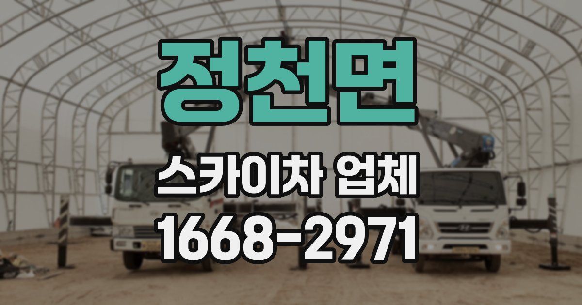 정천면 스카이차 업체