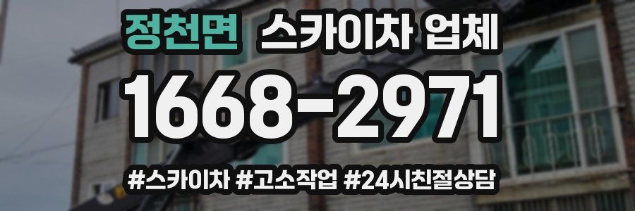 정천면 스카이차 업체