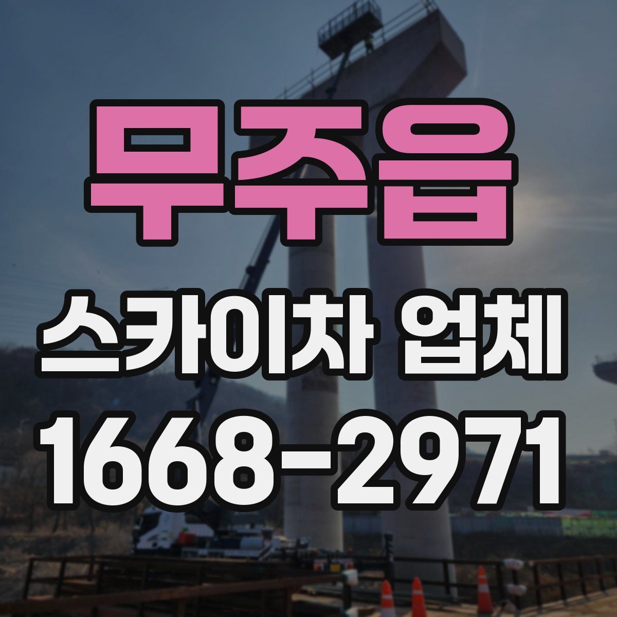 무주읍 스카이차 업체