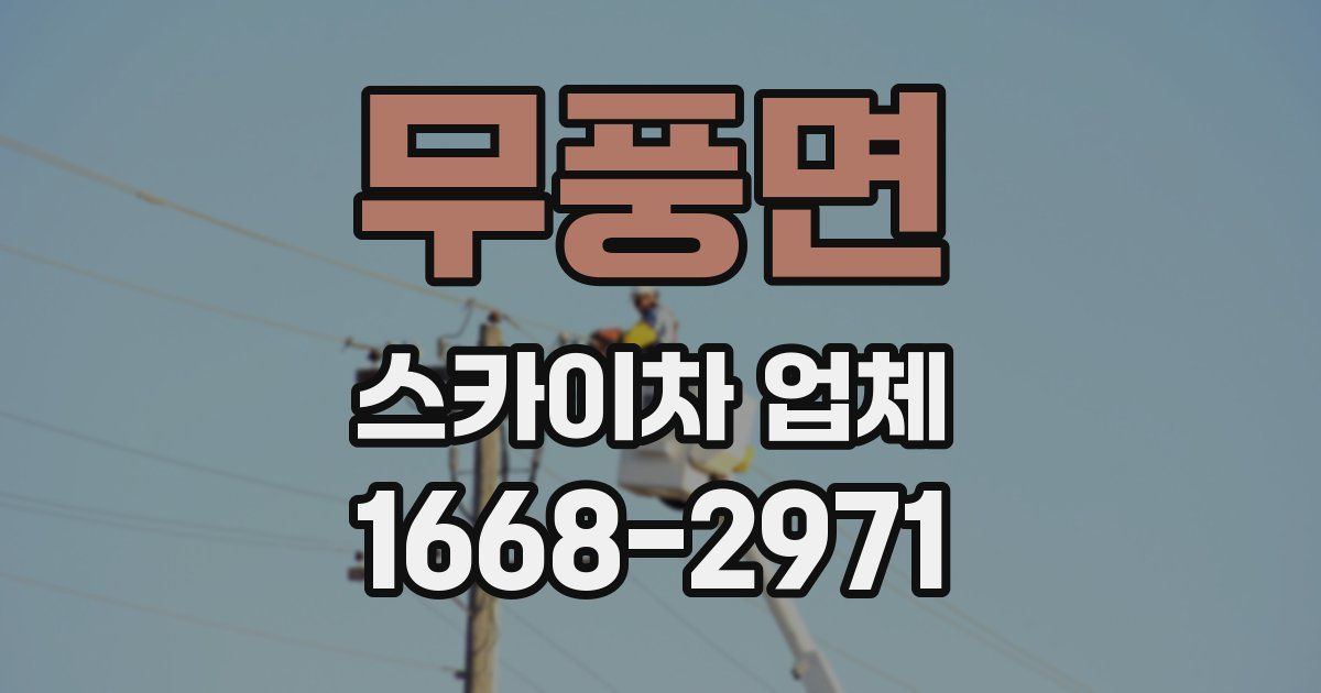 무풍면 스카이차 업체