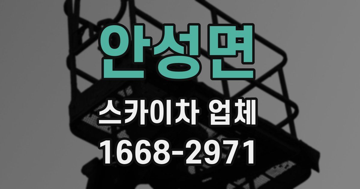 안성면 스카이차 업체