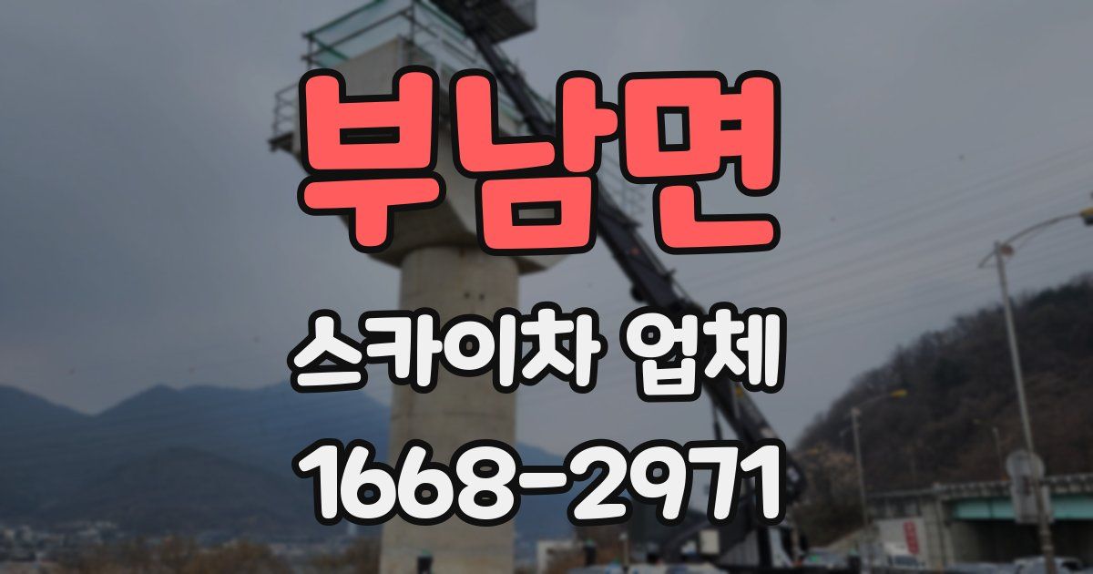 부남면 스카이차 업체