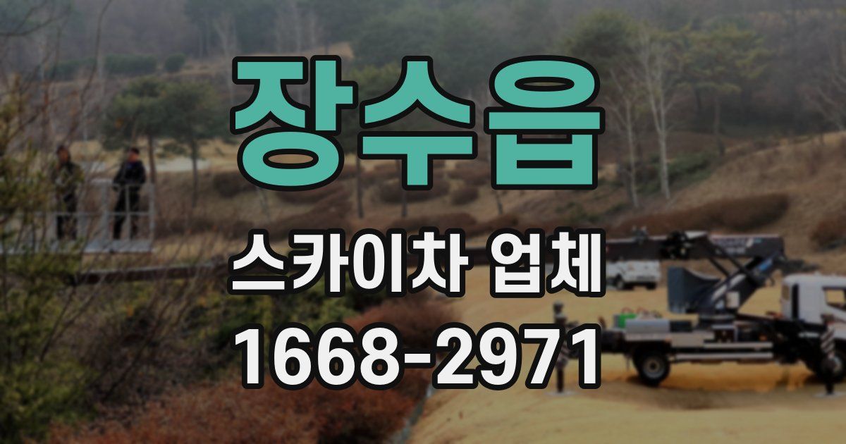 장수읍 스카이차 업체