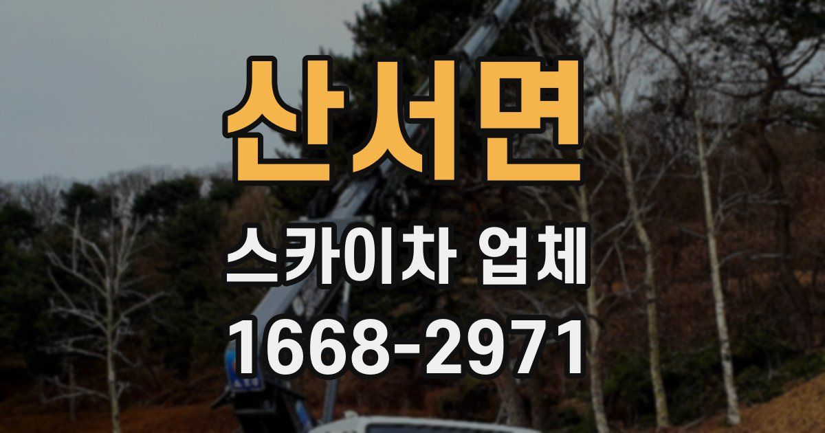 산서면 스카이차 업체