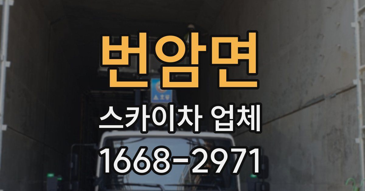 번암면 스카이차 업체