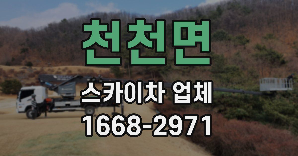 천천면 스카이차 업체