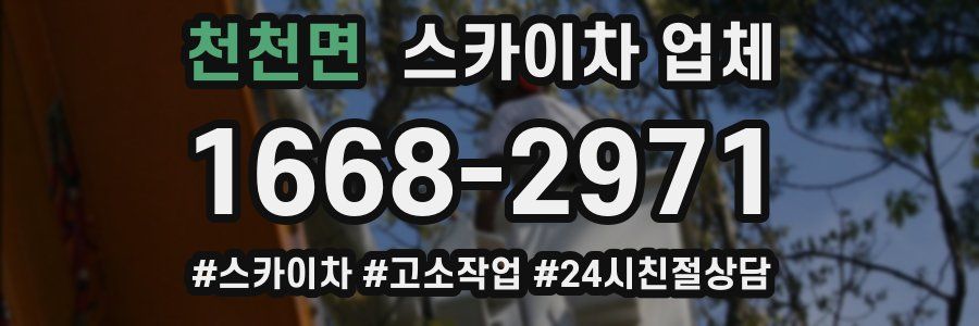 천천면 스카이차 업체