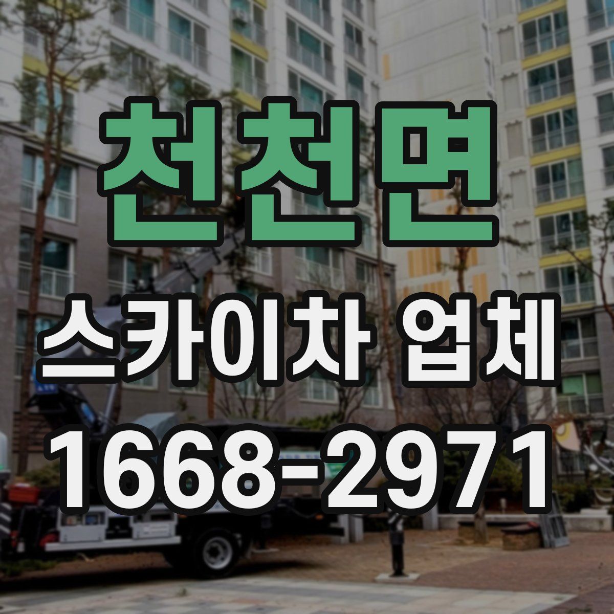 천천면 스카이차 업체