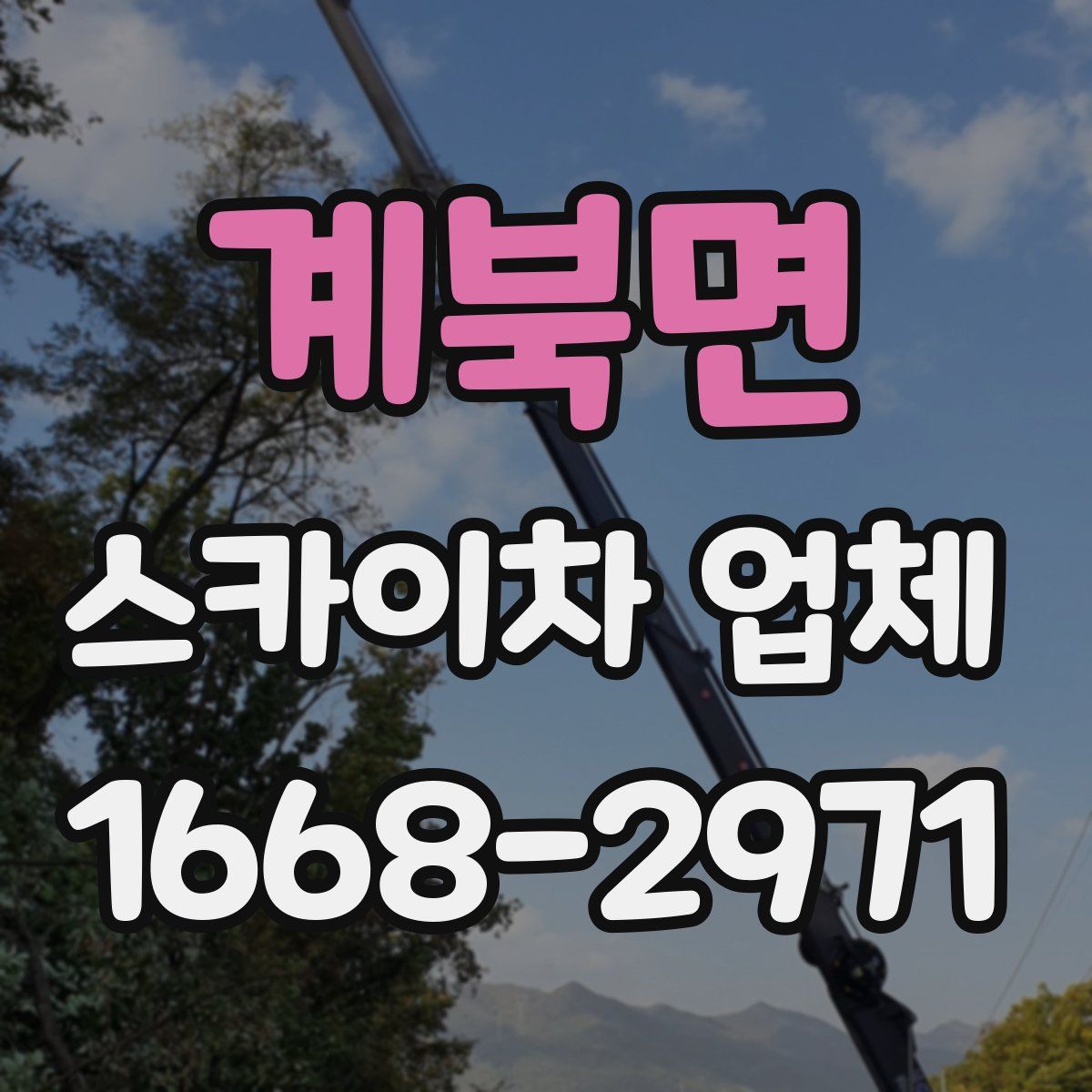 계북면 스카이차 업체