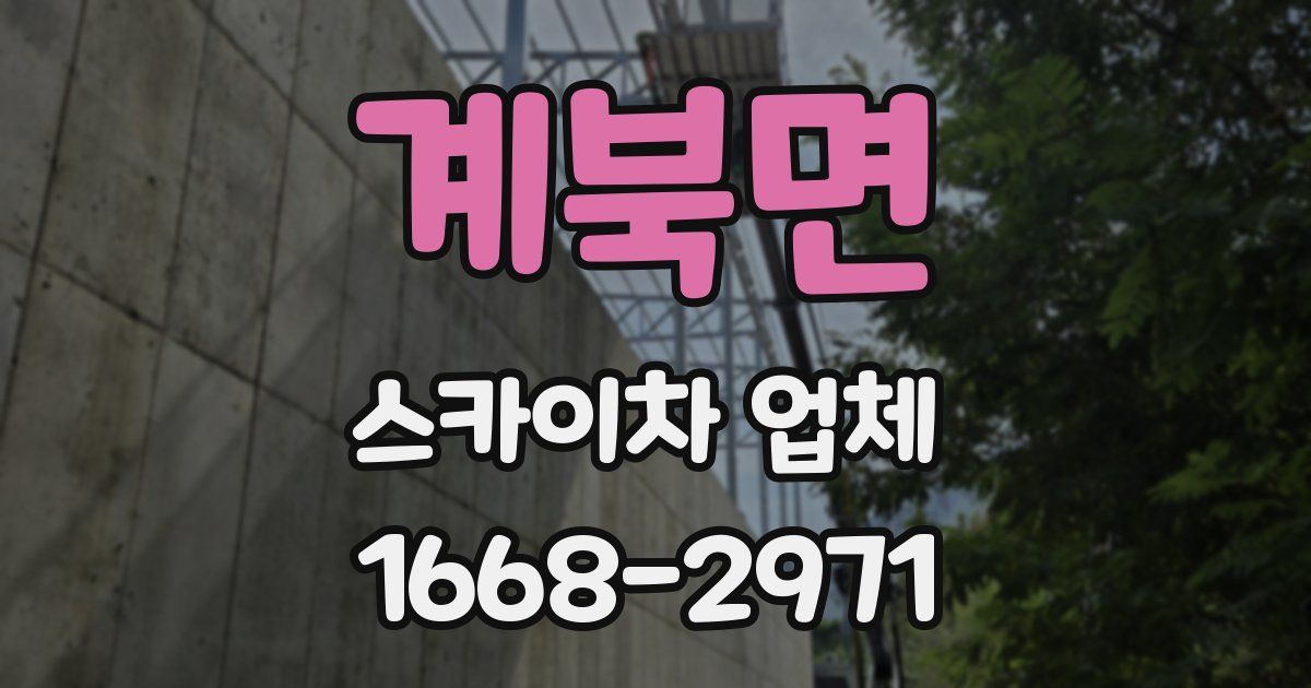 계북면 스카이차 업체