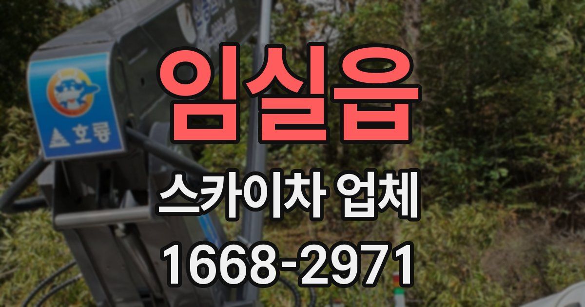 임실읍 스카이차 업체