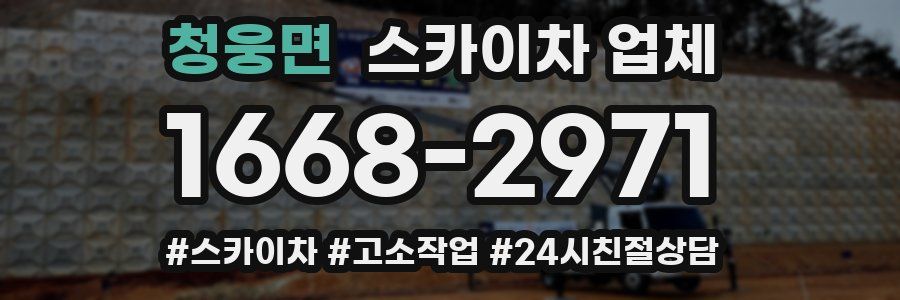 청웅면 스카이차 업체