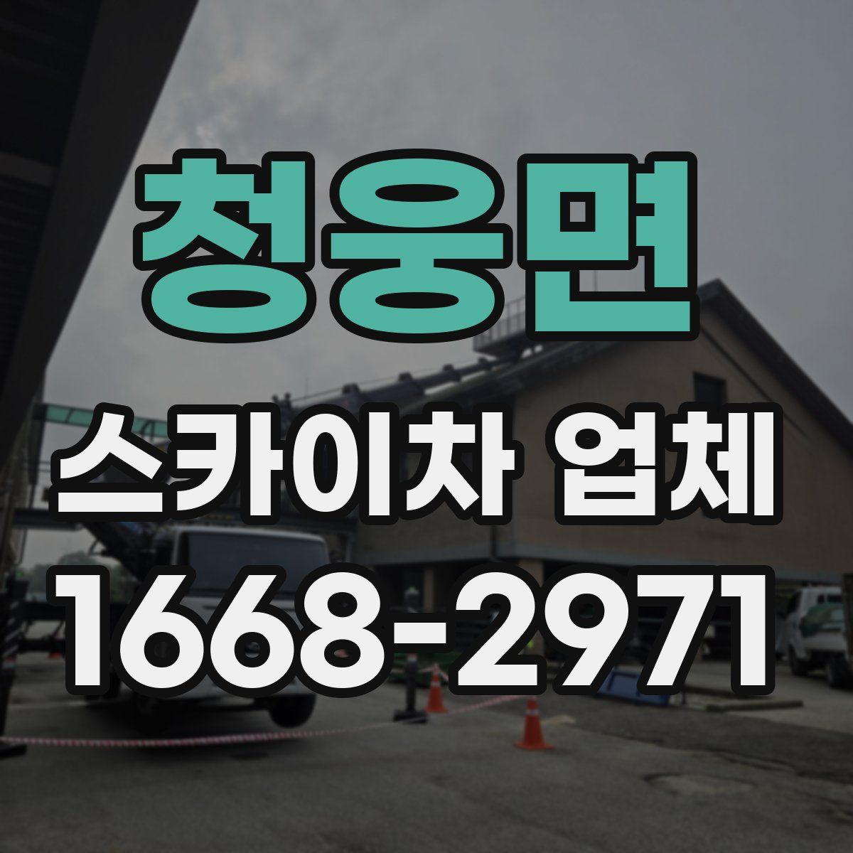 청웅면 스카이차 업체