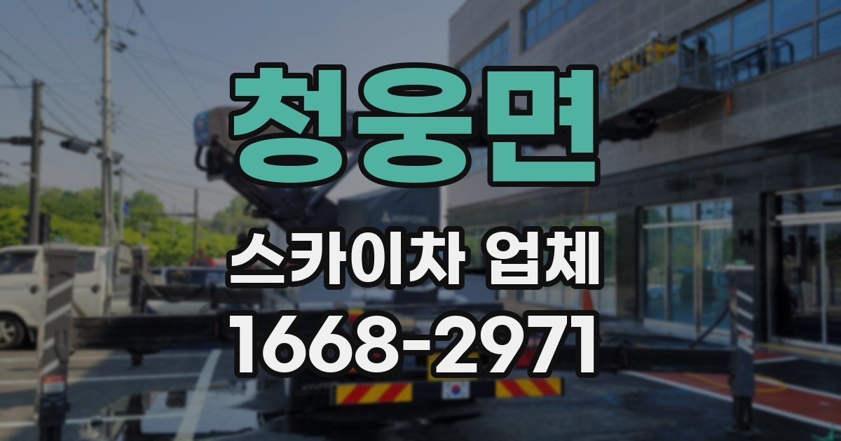 청웅면 스카이차 업체