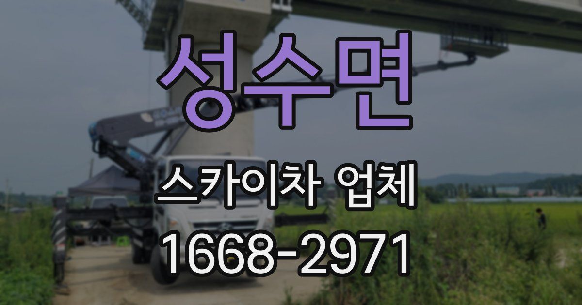 성수면 스카이차 업체