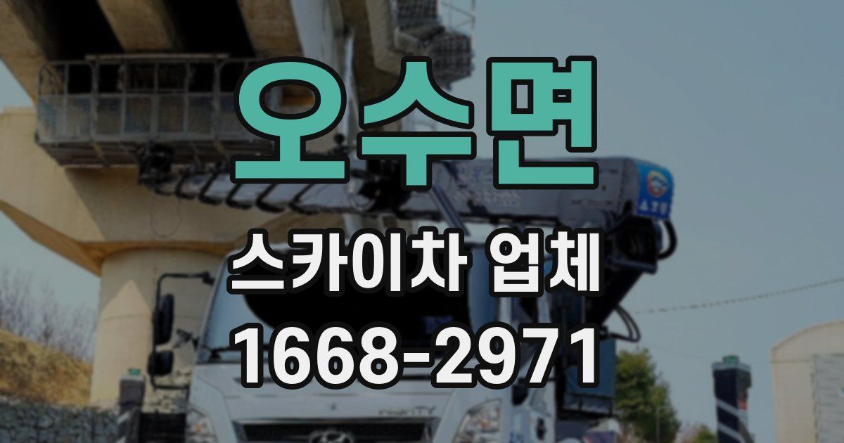 오수면 스카이차 업체