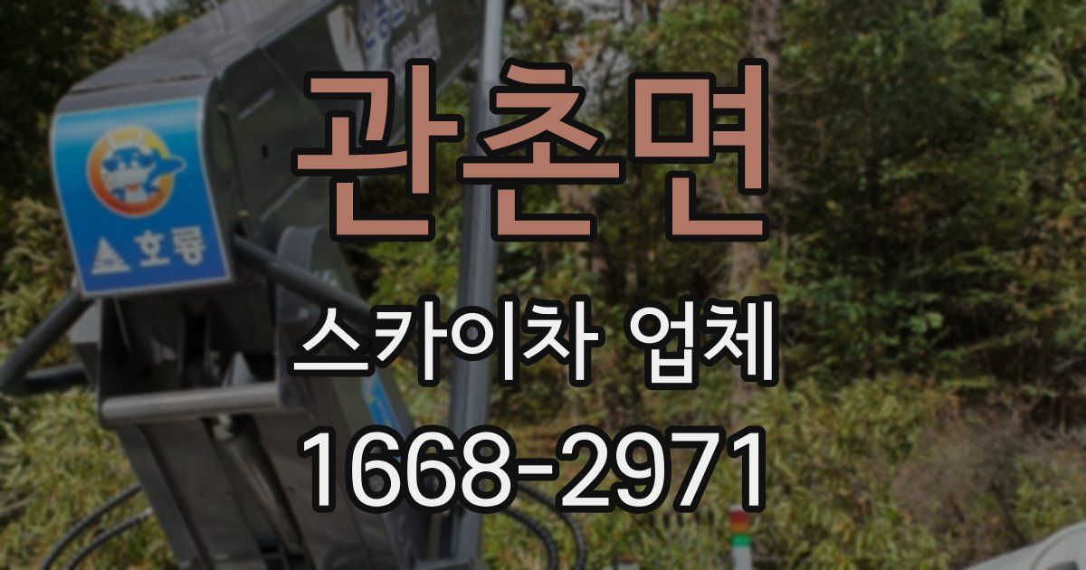 관촌면 스카이차 업체