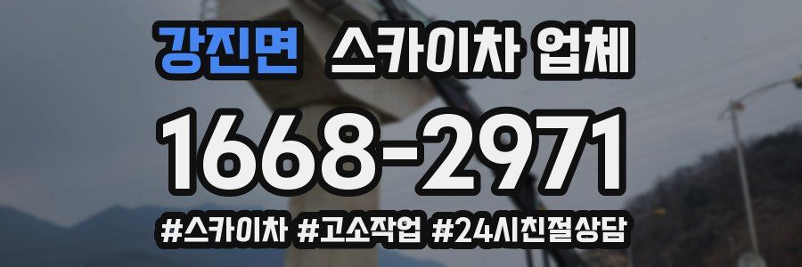 강진면 스카이차 업체