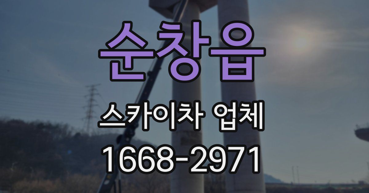 순창읍 스카이차 업체