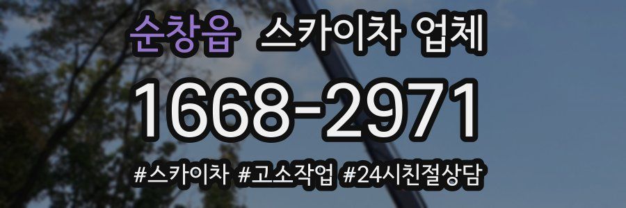 순창읍 스카이차 업체