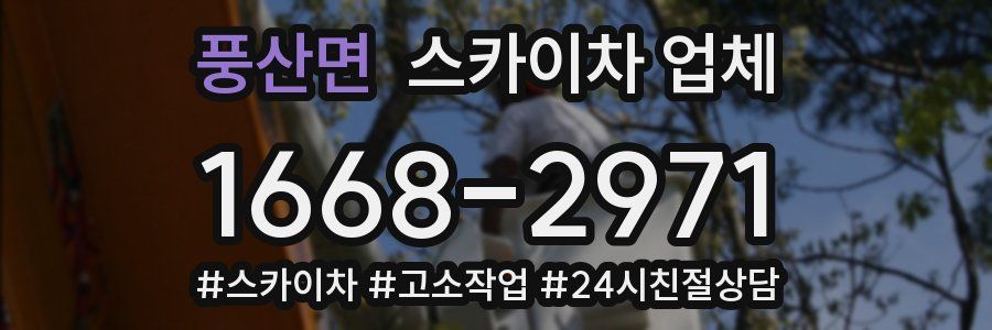 풍산면 스카이차 업체