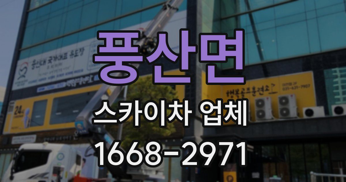 풍산면 스카이차 업체