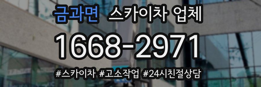 금과면 스카이차 업체