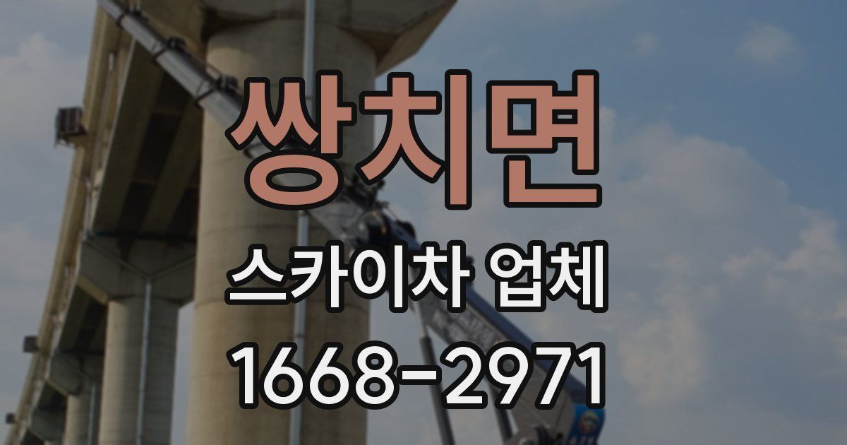 쌍치면 스카이차 업체